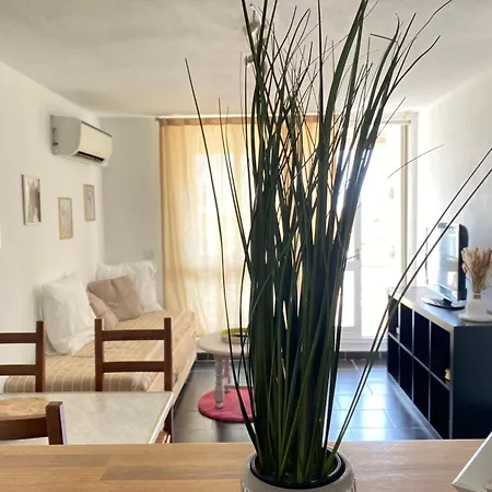 Appartement Lumineux Camargue Le Grau-du-Roi Exterior foto